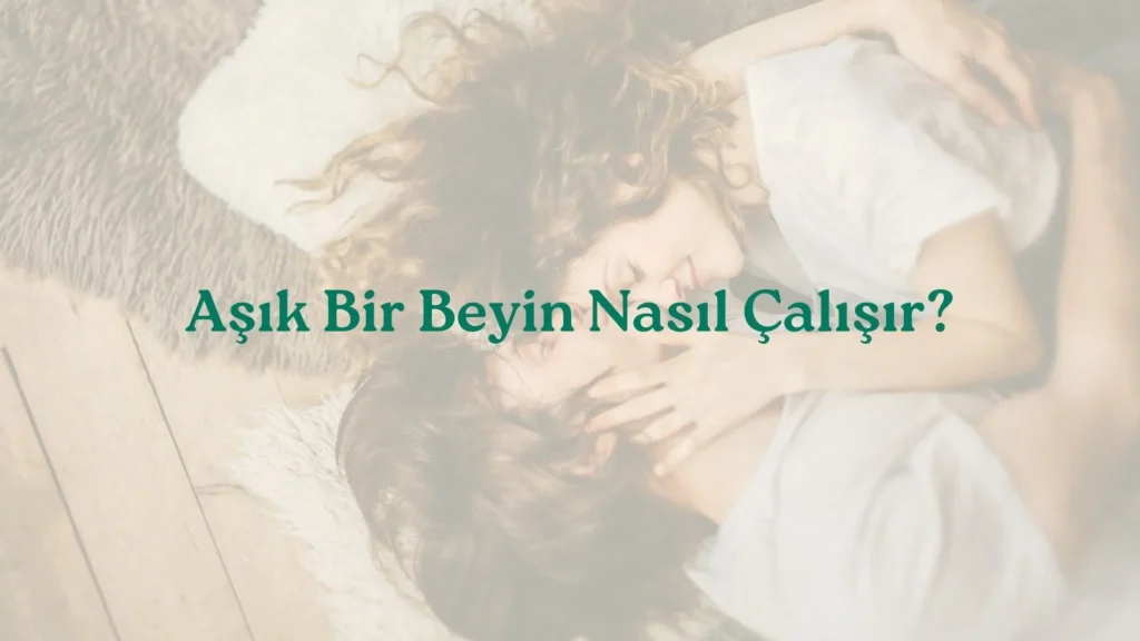 Aşık Bir Beyin Nasıl Çalışır?