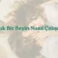 Aşık Bir Beyin Nasıl Çalışır?